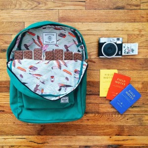 summer-of-ice-cream-sandwiches-5